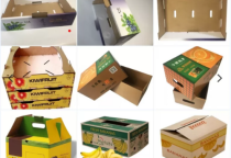 Thùng carton in Flexo